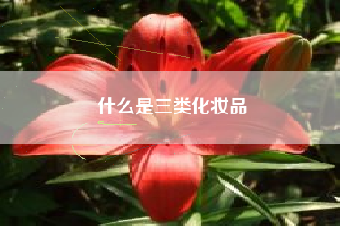 什么是三类化妆品