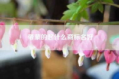 带蒙的起什么商标名好