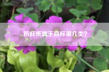 防蛀纸属于商标第几类？