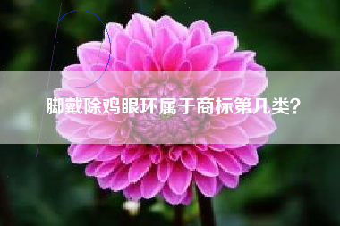 脚戴除鸡眼环属于商标第几类？