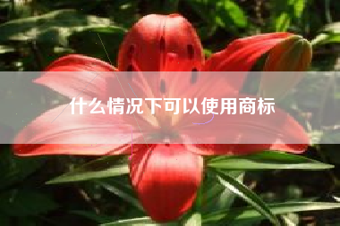 什么情况下可以使用商标