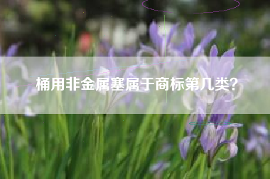 桶用非金属塞属于商标第几类？
