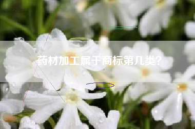 药材加工属于商标第几类？
