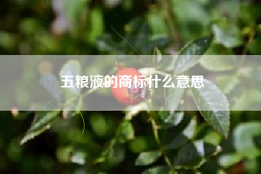 五粮液的商标什么意思