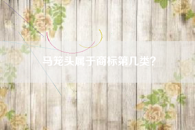 马笼头属于商标第几类？