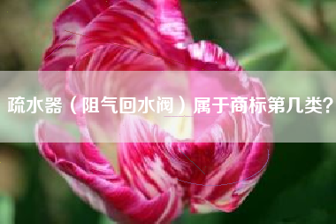 疏水器（阻气回水阀）属于商标第几类？