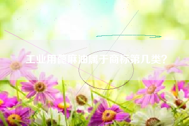 工业用蓖麻油属于商标第几类？