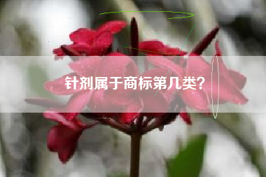针剂属于商标第几类？