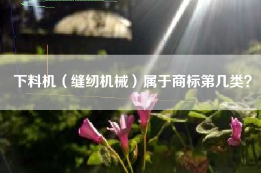 下料机（缝纫机械）属于商标第几类？