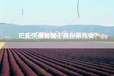 巴氏灭菌器属于商标第几类？