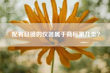 配有目镜的仪器属于商标第几类？