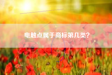 电触点属于商标第几类？