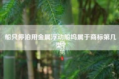 船只停泊用金属浮动船坞属于商标第几类？