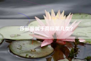 莎丽服属于商标第几类？