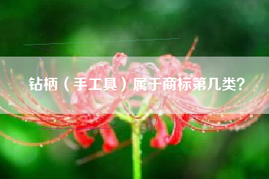 钻柄（手工具）属于商标第几类？