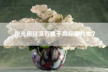 抛光用硅藻石属于商标第几类？