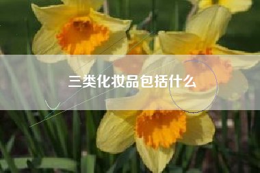 三类化妆品包括什么