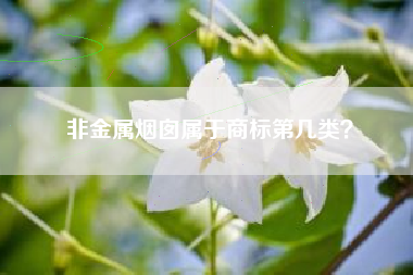 非金属烟囱属于商标第几类？