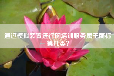 通过模拟装置进行的培训服务属于商标第几类？