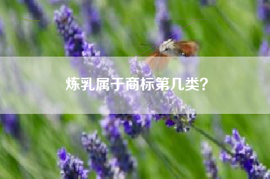 炼乳属于商标第几类？