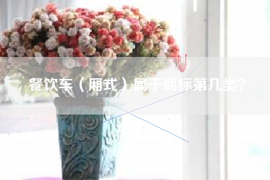 餐饮车（厢式）属于商标第几类？
