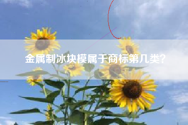 金属制冰块模属于商标第几类？
