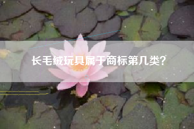 长毛绒玩具属于商标第几类？
