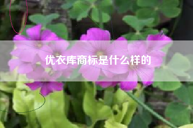 优衣库商标是什么样的