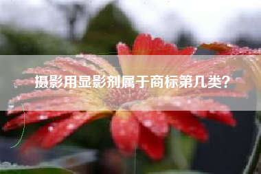 摄影用显影剂属于商标第几类？