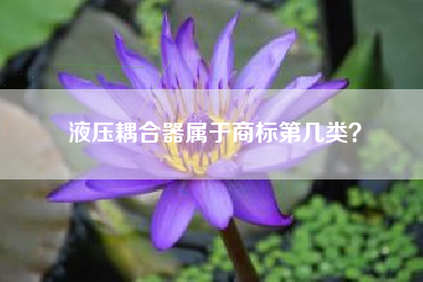 液压耦合器属于商标第几类？