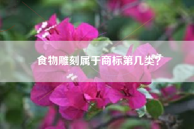 食物雕刻属于商标第几类？