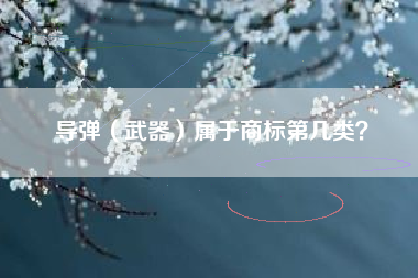 导弹（武器）属于商标第几类？