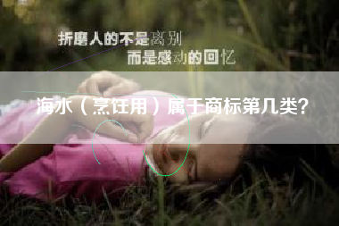 海水（烹饪用）属于商标第几类？