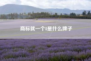 商标就一个8是什么牌子