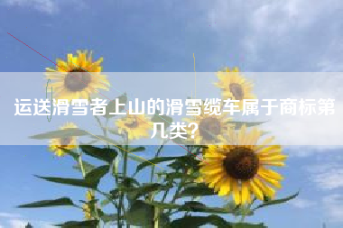 运送滑雪者上山的滑雪缆车属于商标第几类？