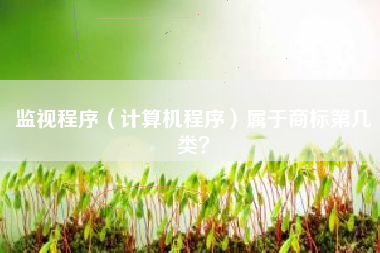 监视程序（计算机程序）属于商标第几类？