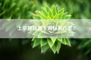 上浆糊精属于商标第几类？