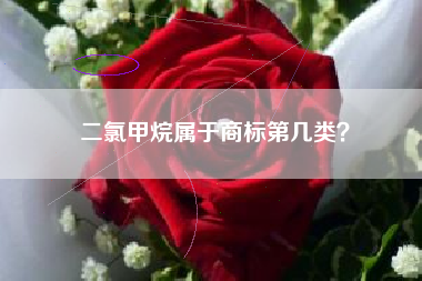 二氯甲烷属于商标第几类？