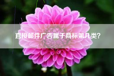 直接邮件广告属于商标第几类？