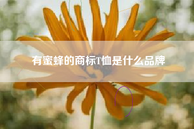 有蜜蜂的商标T恤是什么品牌