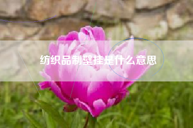 纺织品制壁挂是什么意思
