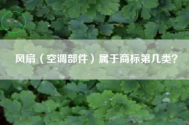 风扇（空调部件）属于商标第几类？