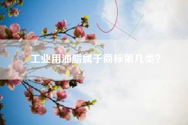 工业用油脂属于商标第几类？