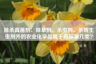 除杀真菌剂、除草剂、杀虫剂、杀寄生虫剂外的农业化学品属于商标第几类？