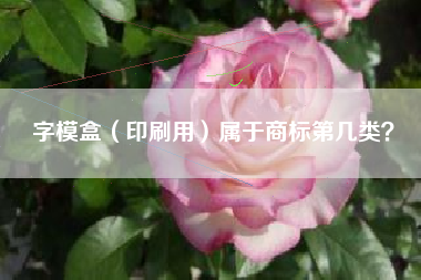字模盒（印刷用）属于商标第几类？