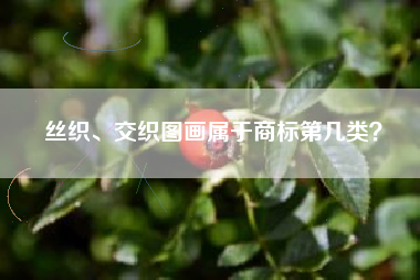 丝织、交织图画属于商标第几类？