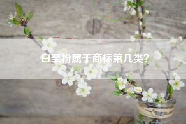 白垩粉属于商标第几类？