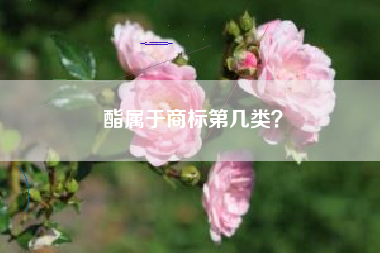 酯属于商标第几类？