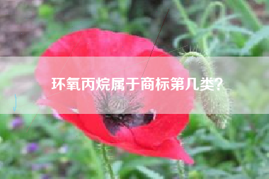环氧丙烷属于商标第几类？
