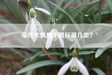 牵线木偶属于商标第几类？